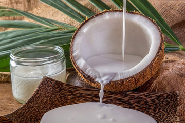 Busting the myths about Coconut Milk - Mae Jum Store (UK)
