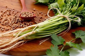 Get to know: Coriander in Thai Cooking - Mae Jum Store (UK)
