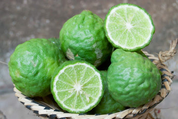 Get to know: Thai Kaffir Lime - Mae Jum Store (UK)