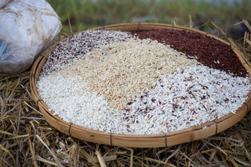 Thailand's Popular Thai Rice Varieties and Styles - Mae Jum Store (UK)