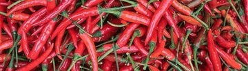 The Spicy World of Thai Chillies: A Friendly Guide - Mae Jum Store